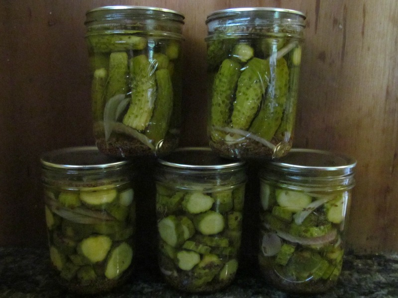 HOMEMADE DILL PICKLES CANNING RECIPE