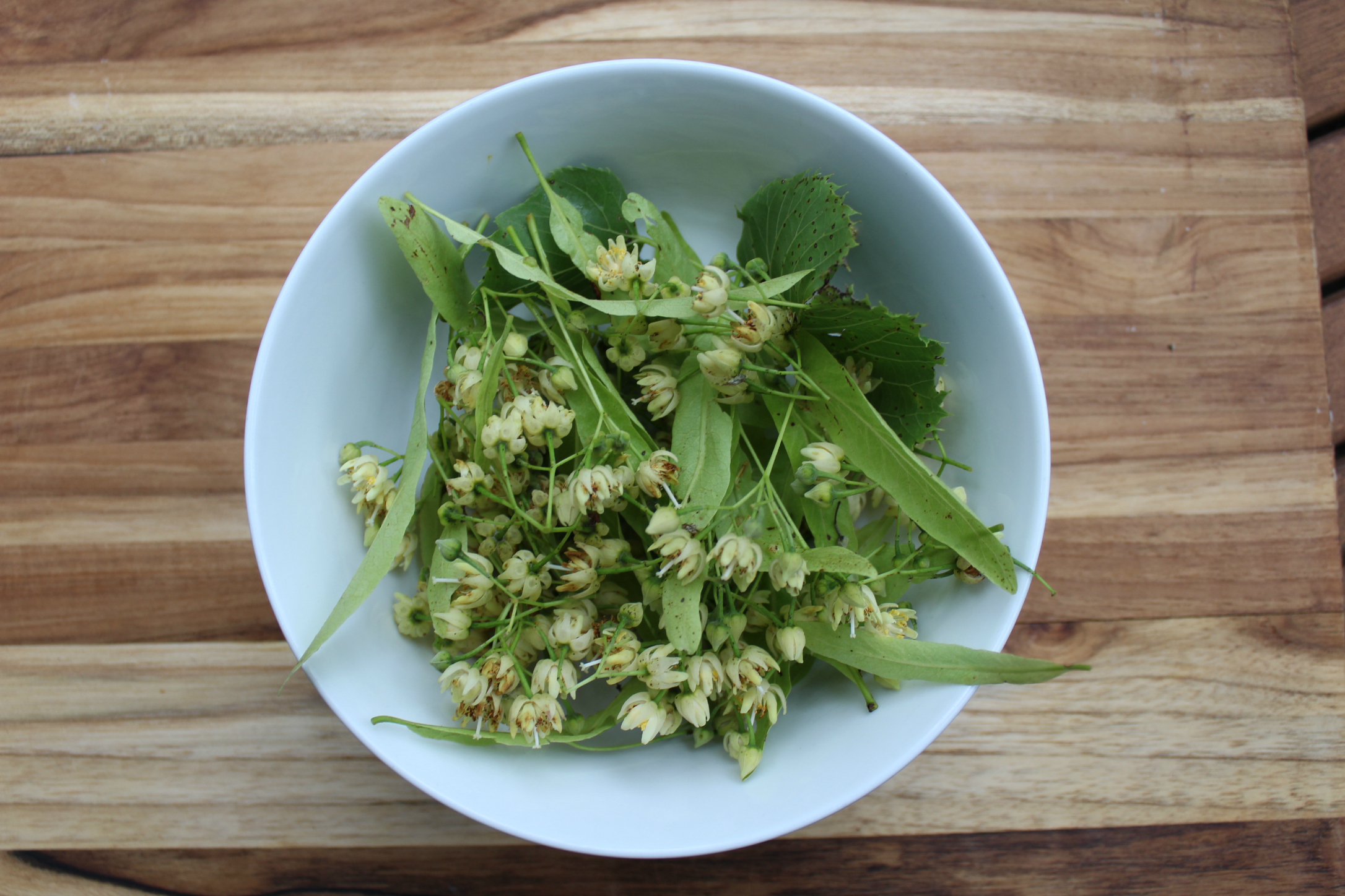Linden Flowers
