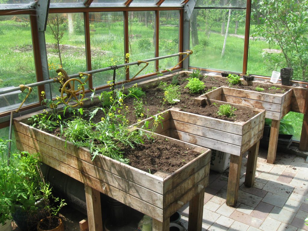 Greenhouse at Off Grid Homestead
