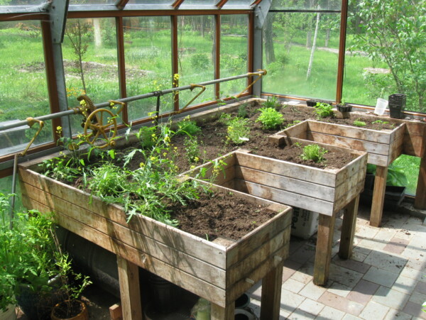 Greenhouse at Off Grid Homestead