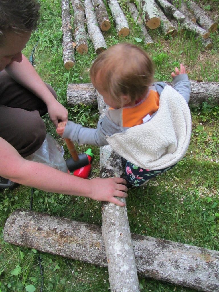Growing Shiitake Mushrooms with Kis