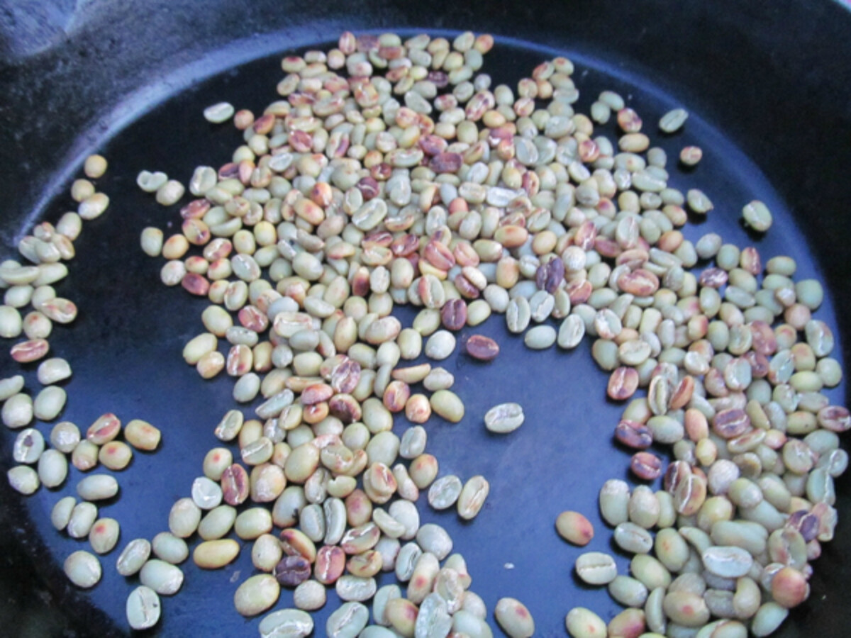Green coffee beans developing their first hint of color as they begin to roast.
