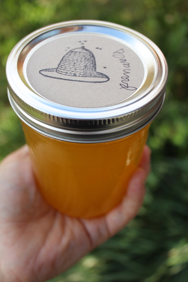 monofloral linden flower honey