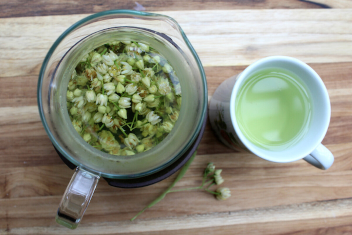 Linden tea made with wild foraged linden flowers.