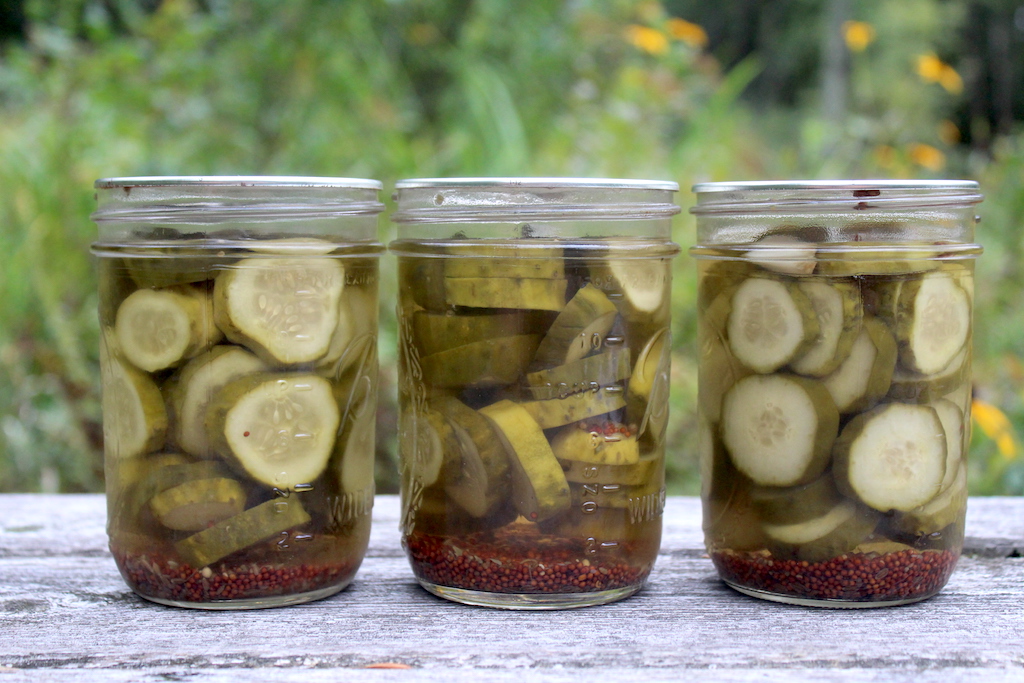 2lb Preserve Jam Jars prefect for chutney pickles & preseves inc caps 