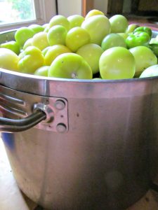 Tomatillos for Canning