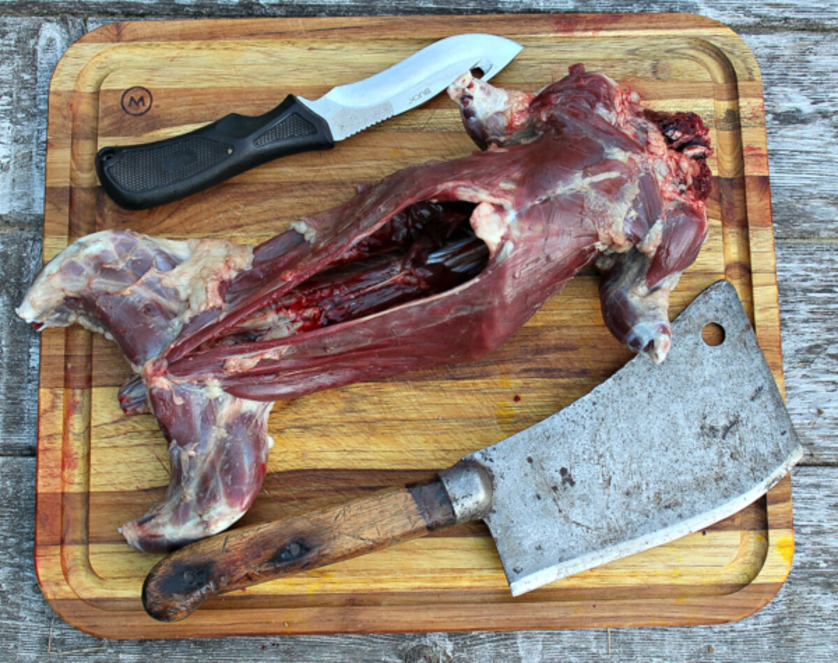 How to Butcher a Groundhog (Woodchuck)