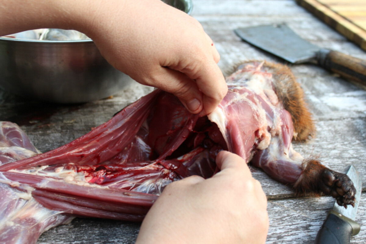 How to Butcher a Groundhog (Woodchuck)