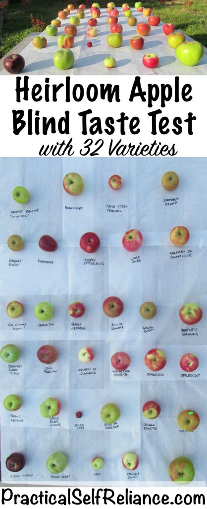 Heirloom Apple Blind Taste Test