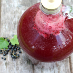 Blackcurrant Mead