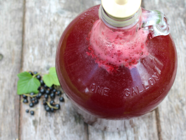 Blackcurrant Mead
