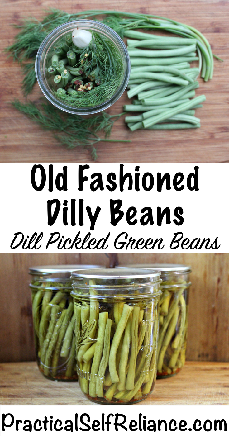 Dill Pickled Green Beans
