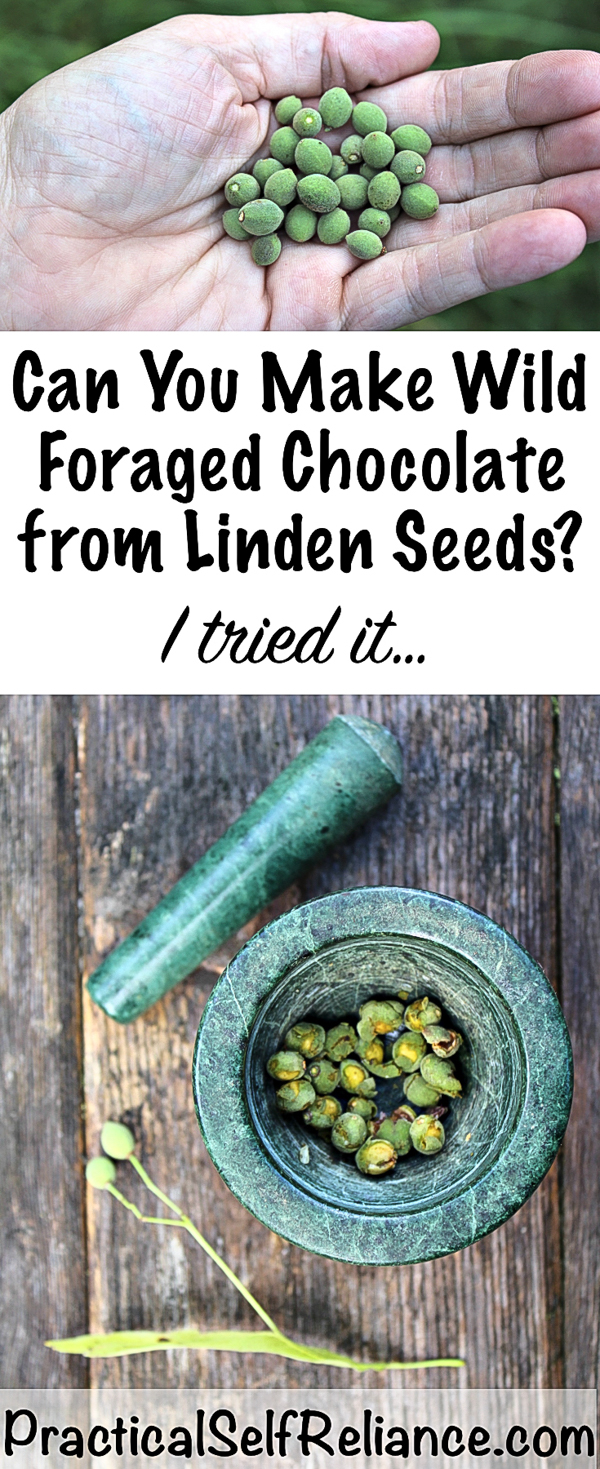 Can you make chocolate from Linden seeds? ~ My Wild Foraged Chocolate Attempt #chocolate #linden #foraging #wildfood #forage #selfsufficiency #wildcrafting #wildedibles