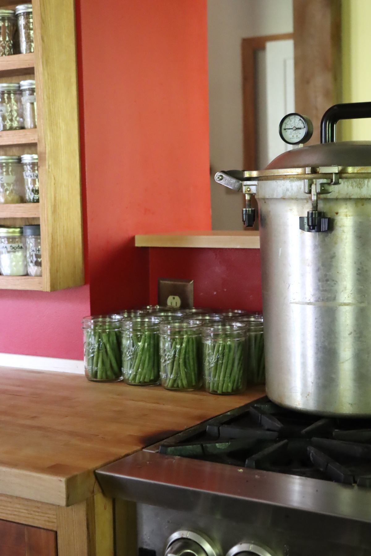 Green Beans Ready for Canning
