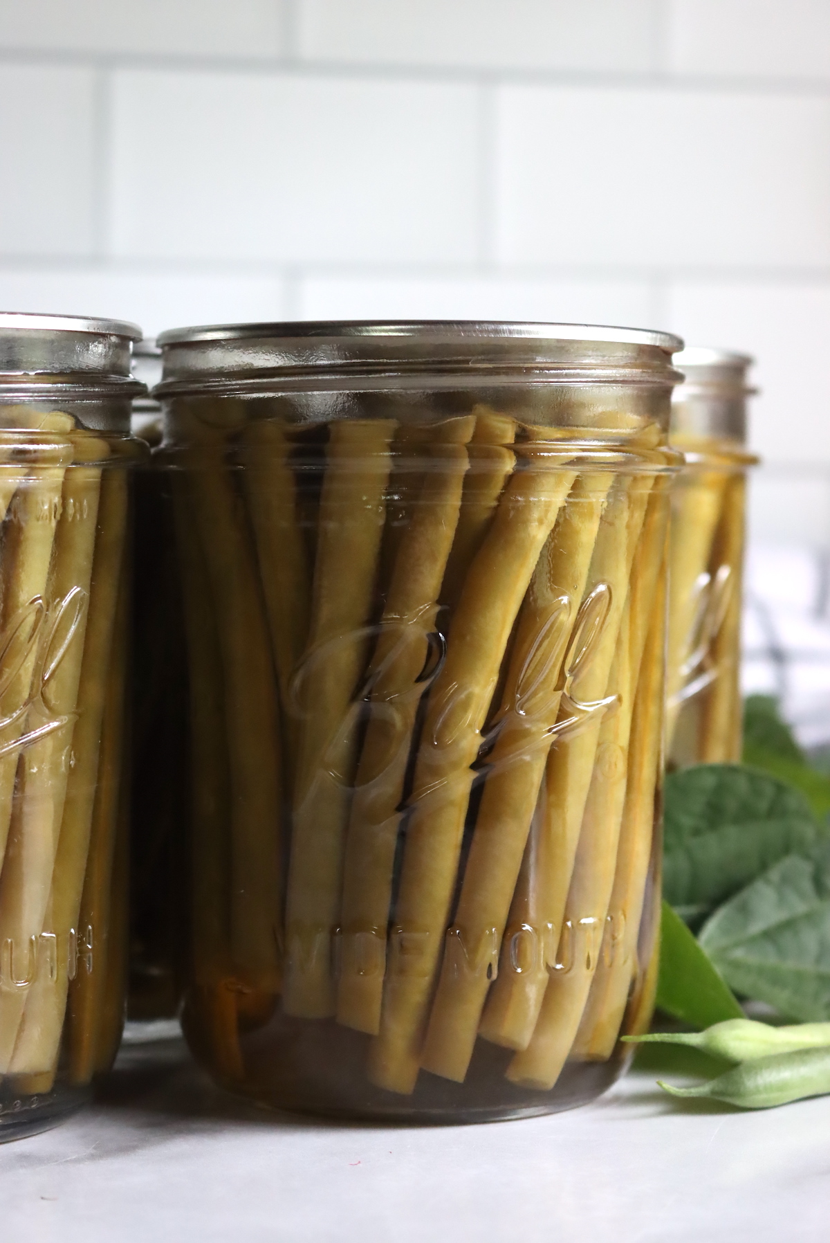 Home canned green beans