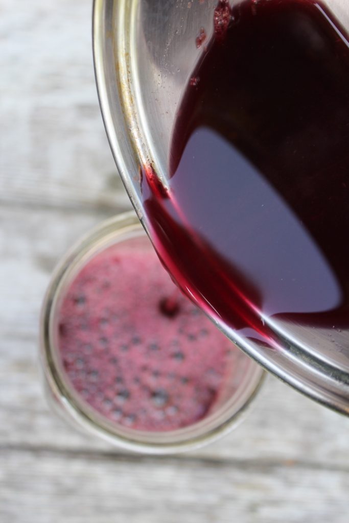 Immune Boosting Elderberry Oxymel - Practical Self Reliance