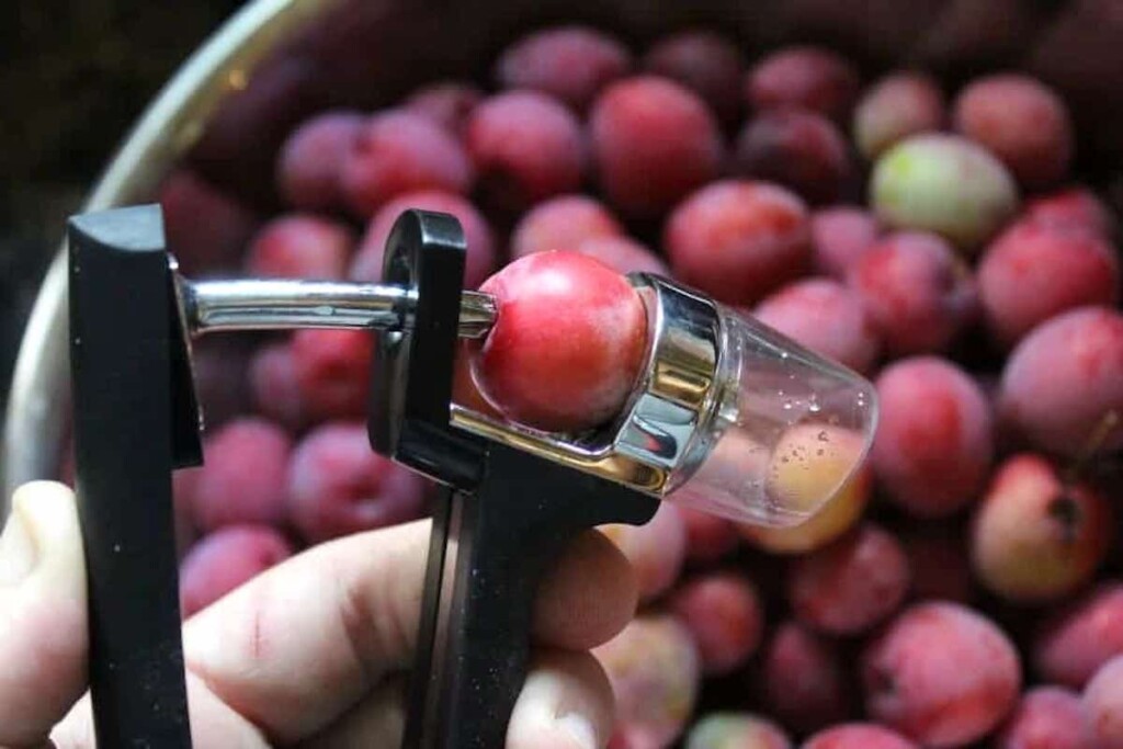 Pitting Wild Plums
