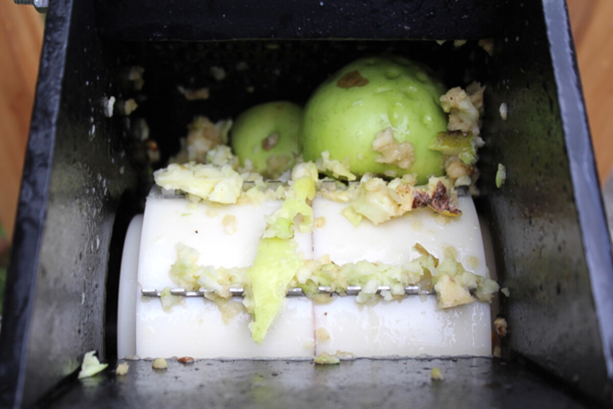 Grinding Apples Before Pressing for Cider