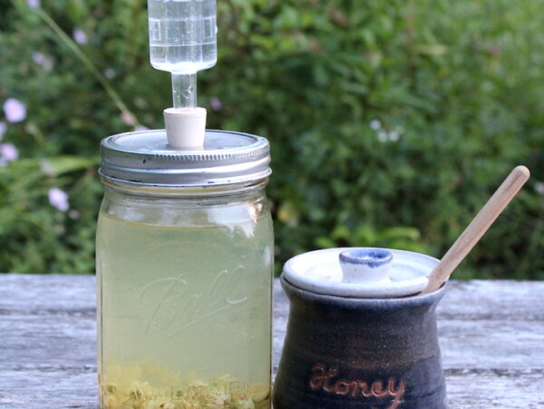 How to Make 1 Quart of Mead - Micro Batch Method