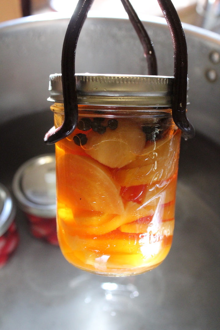 Pickled Golden Beets in Jar