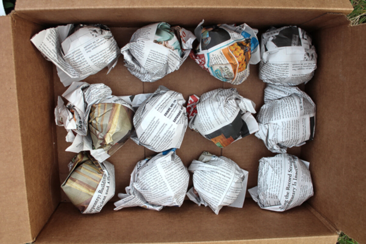 Storing Apples in a Root Cellar