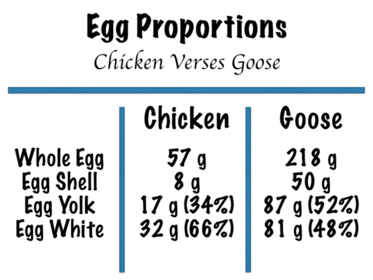 Weights of various parts of goose and chicken eggs compared.
