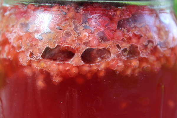 Raspberry Mead