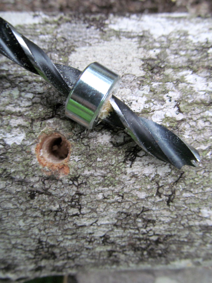 Drill bit for shiitake mushroom plugs