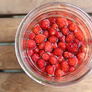 Fermented Alpine Strawberries