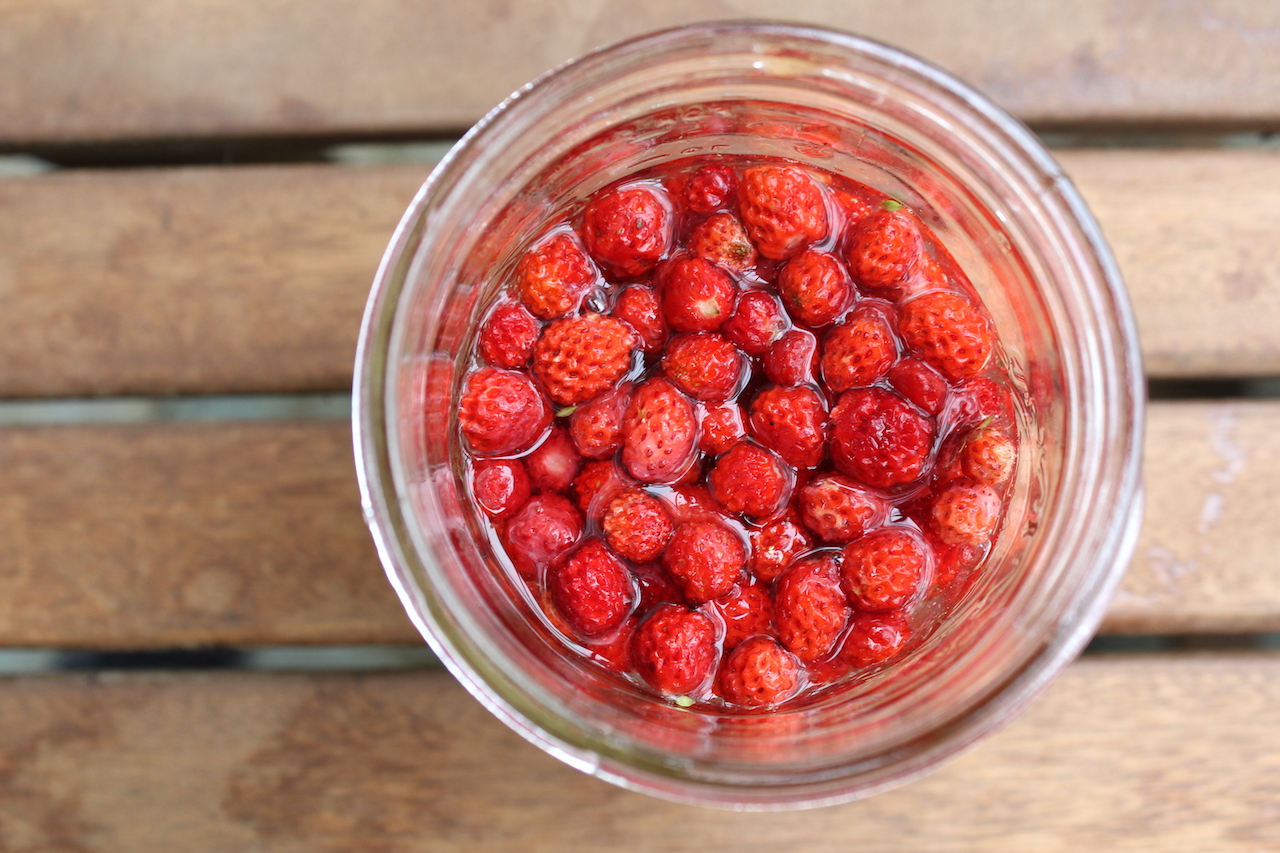 Fermented Strawberries with Honey & Whey