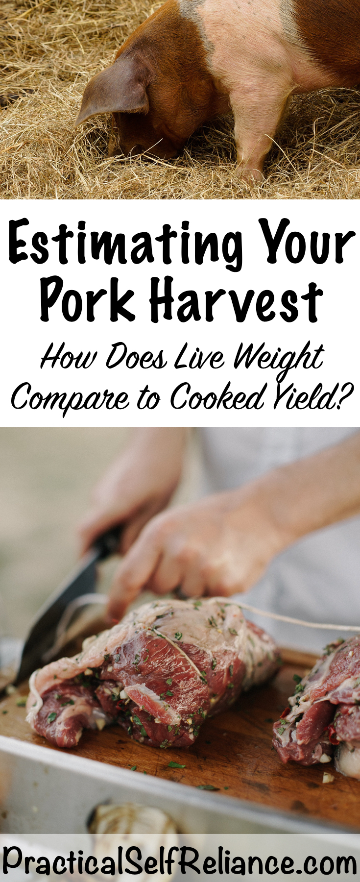 Estimating Your Pork Harvest: How Does Live Weight Compare to Cooked Yield?