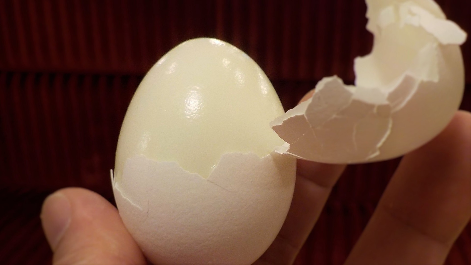 Egg membrane is a powerful anti-inflammatory