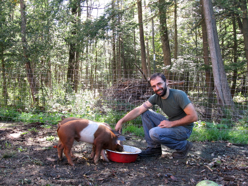 Pigs on Pasture