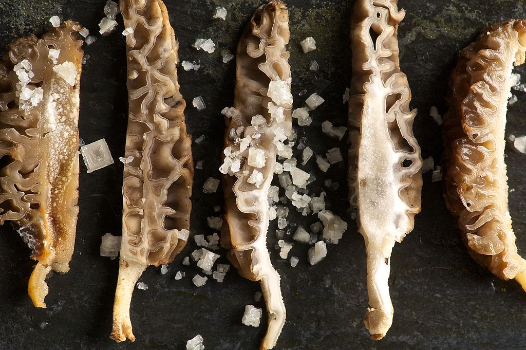 How to Cook Morel Mushrooms