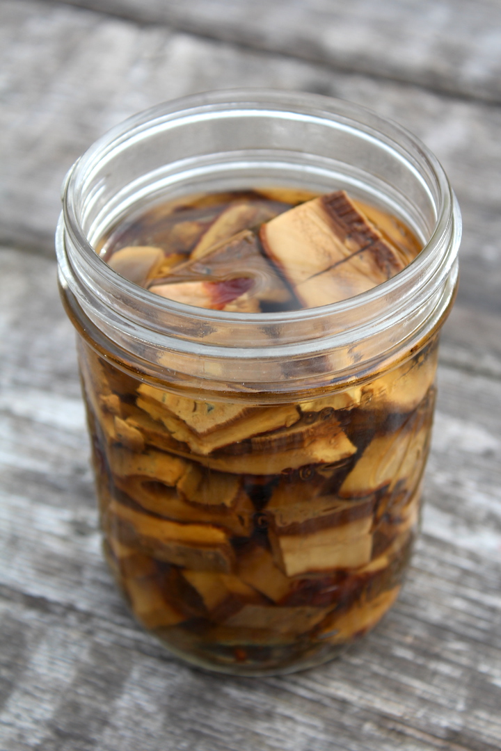 Reishi Mushroom Tincture