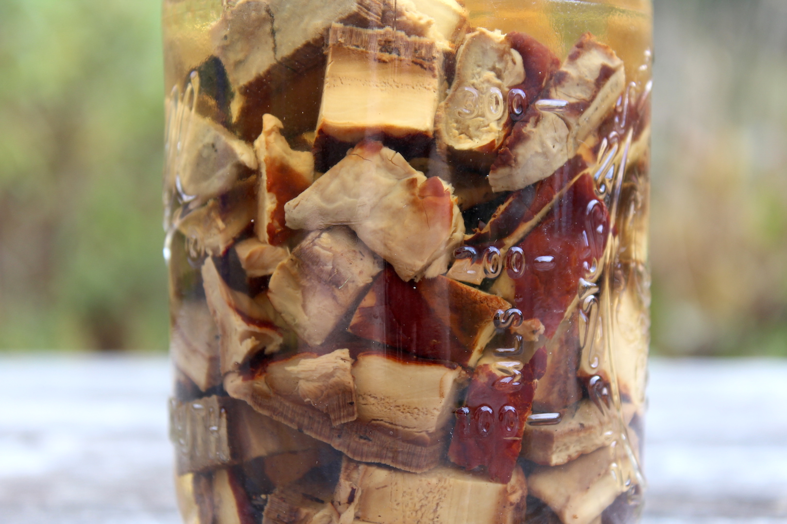 Reishi Mushroom Tincture