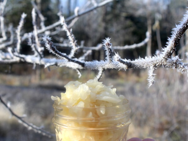 Fermenting in Cold Climates