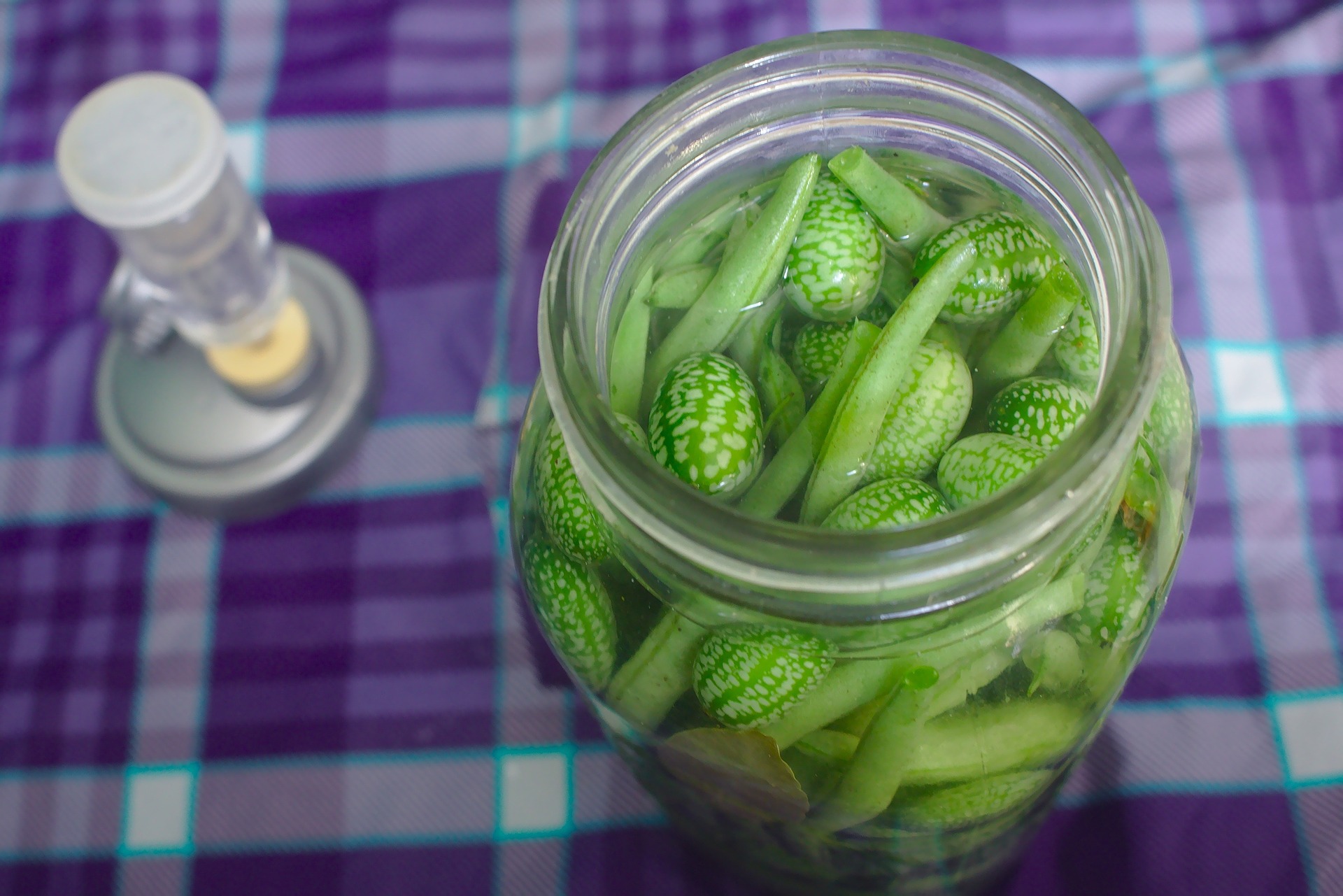 Home Fermentation Kit