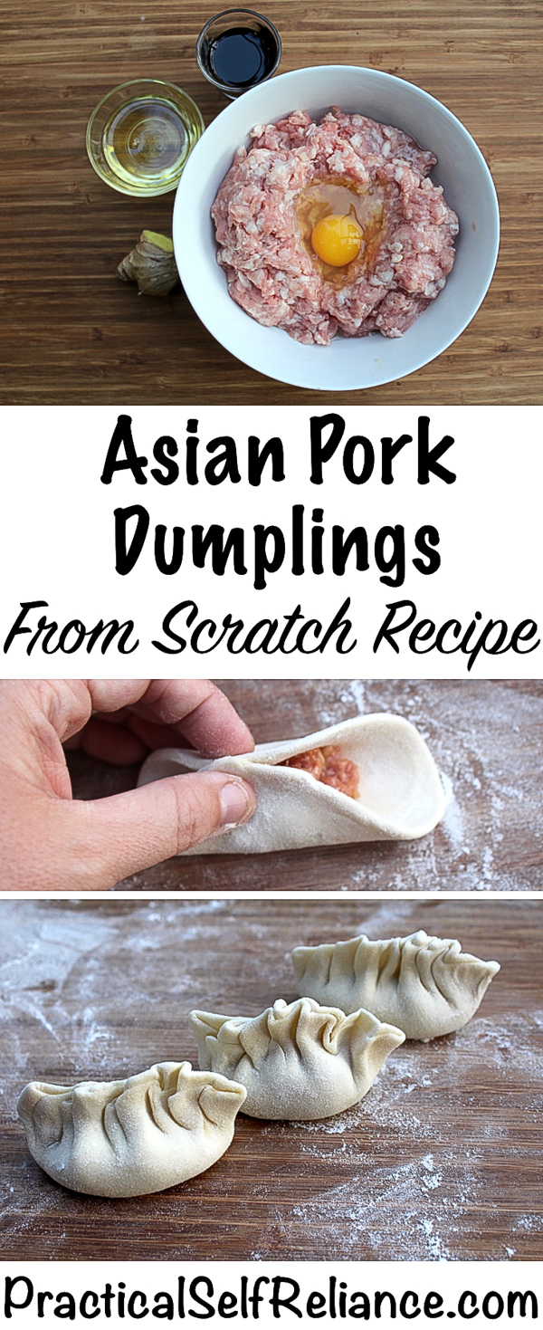 Asian Pork Dumplings - From Scratch Recipe with Homemade Dumpling Wrappers #dumplings #asianrecipes #chinesefood #pork