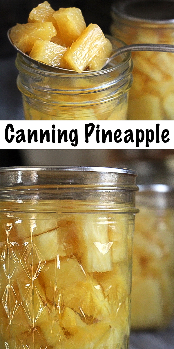 How to Can Pineapple ~ A quick guide to canning pineapple for long term preservation. Homemade canned pineapple tastes much better than store bought, and it's a great way to preserve sale pineapples for later use. #pineapple #pineapplerecipes #canning #foodpreservation #preservingfood #homestead #selfreliant #selfsufficiency #homesteading