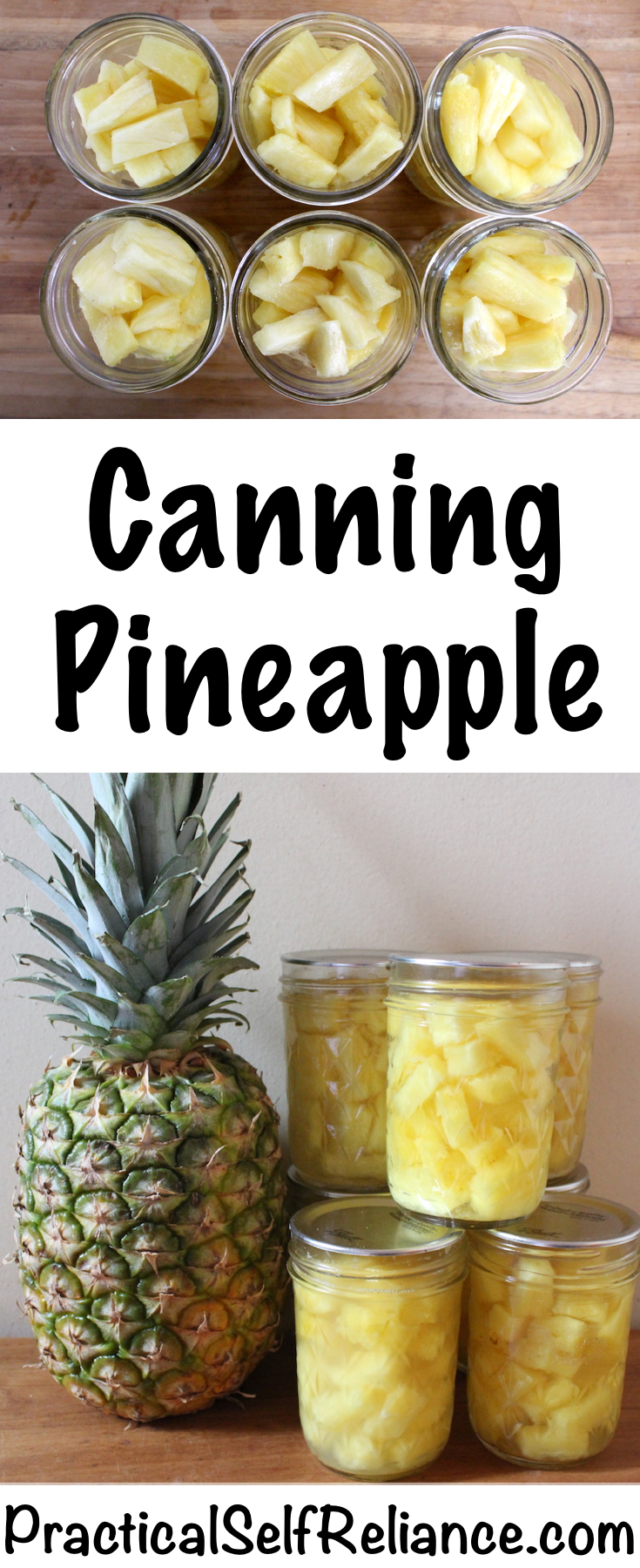 Canning Pineapple — Practical Self Reliance