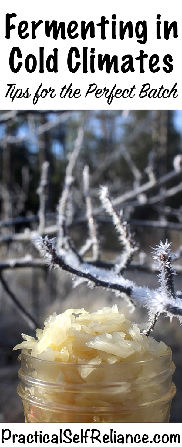 Fermenting in Cold Climates - Tips for the Perfect Batch #fermentedfood #fermentation #probiotics #healthygut #homestead #homesteading #selfreliant