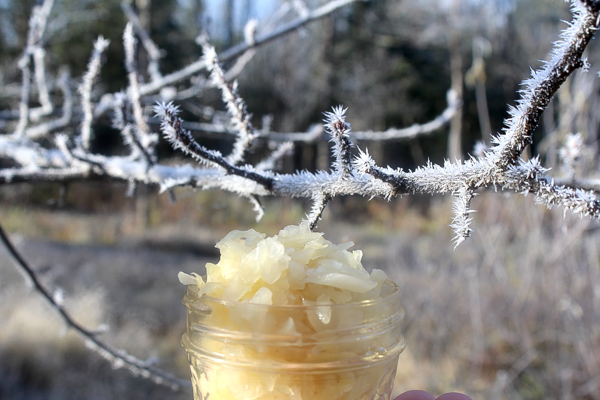 Fermenting in Cold Climates