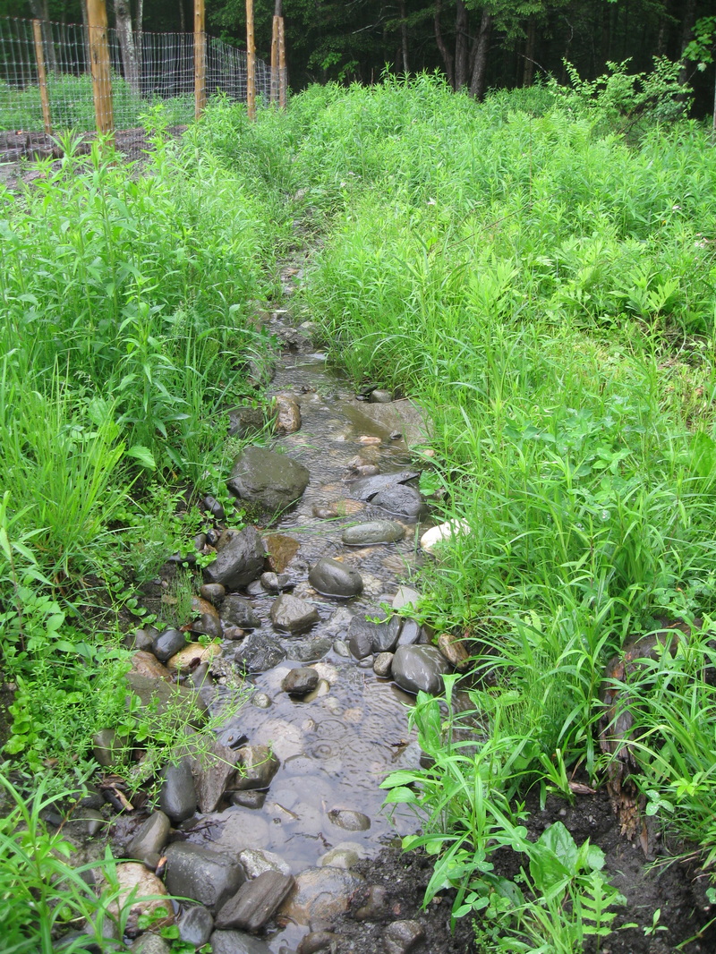 Garden drainage