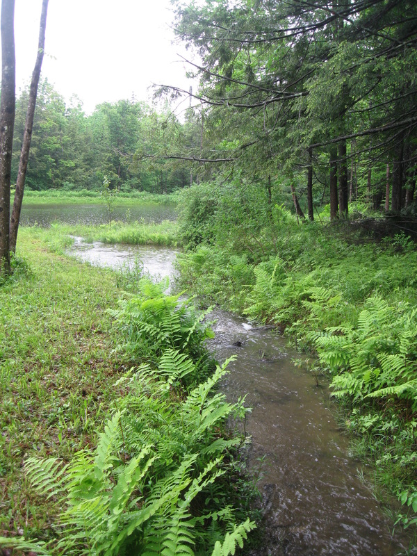 Flooding in vermont