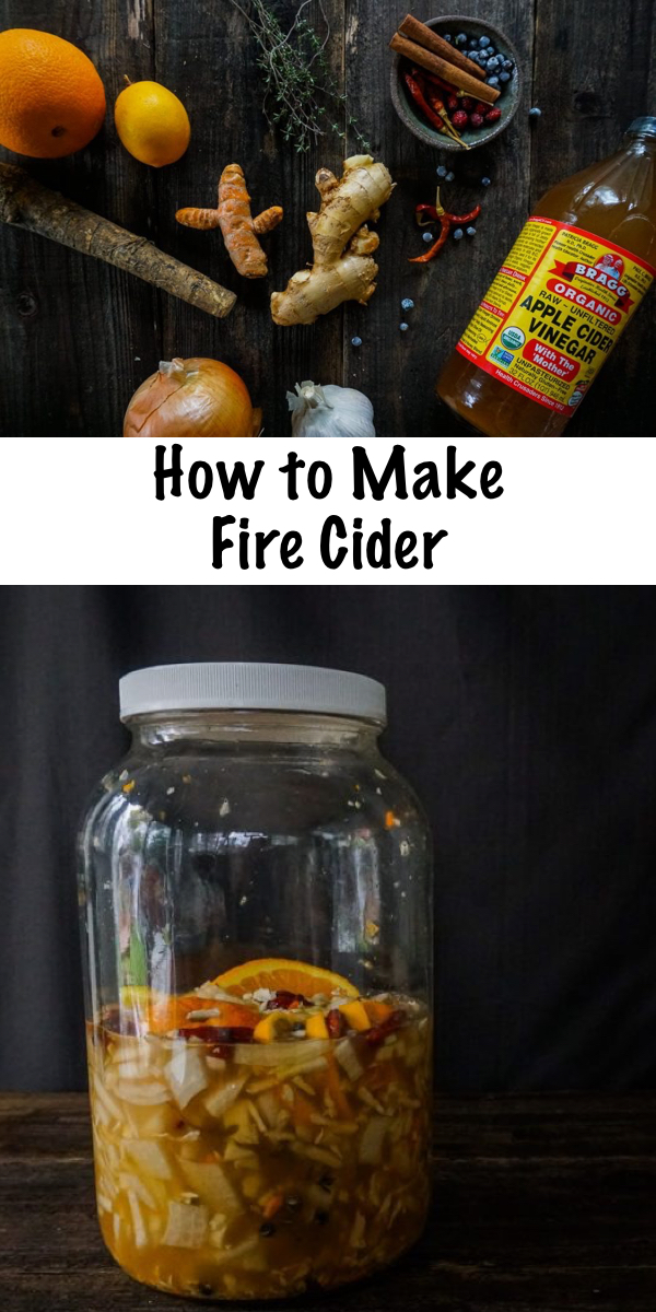 How to Make Fire Cider ~ A folk remedy for just about everything, including the common cold. Fire cider includes common kitchen items and is easy to make at home. #firecider #oxymel #herbs #herbalist #herbalism #medicine #coldandflu #naturalremedy #homestead 