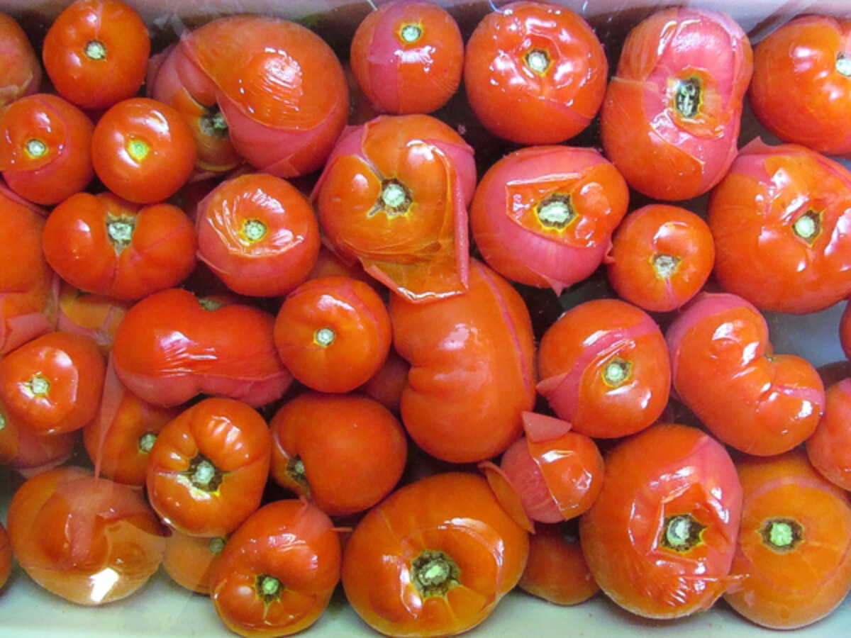 Tomatoes for home canning.