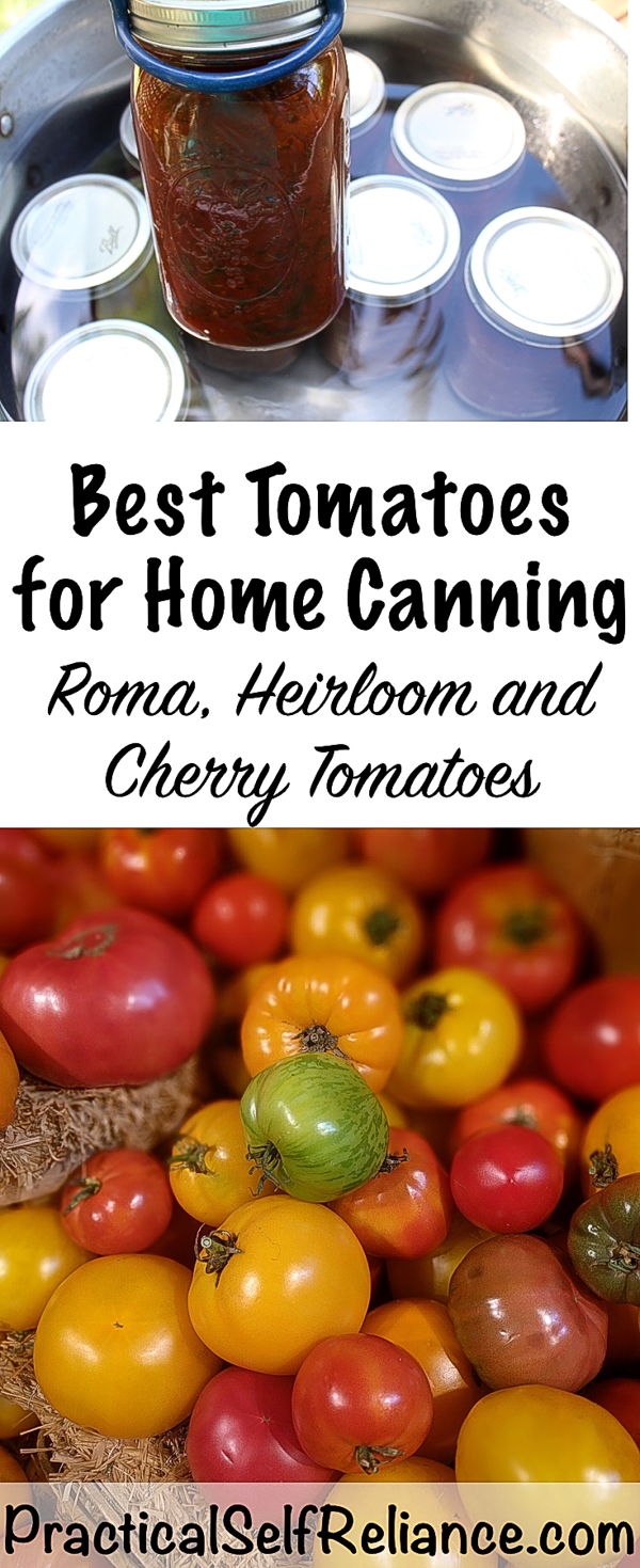 Best Tomatoes for Home Canning #tomatoes #tomatovarieties #canning #foodpreservation #preservingfood #homestead #selfreliant #selfsufficiency #homesteading #canning #foodpreservation #preservingfood
