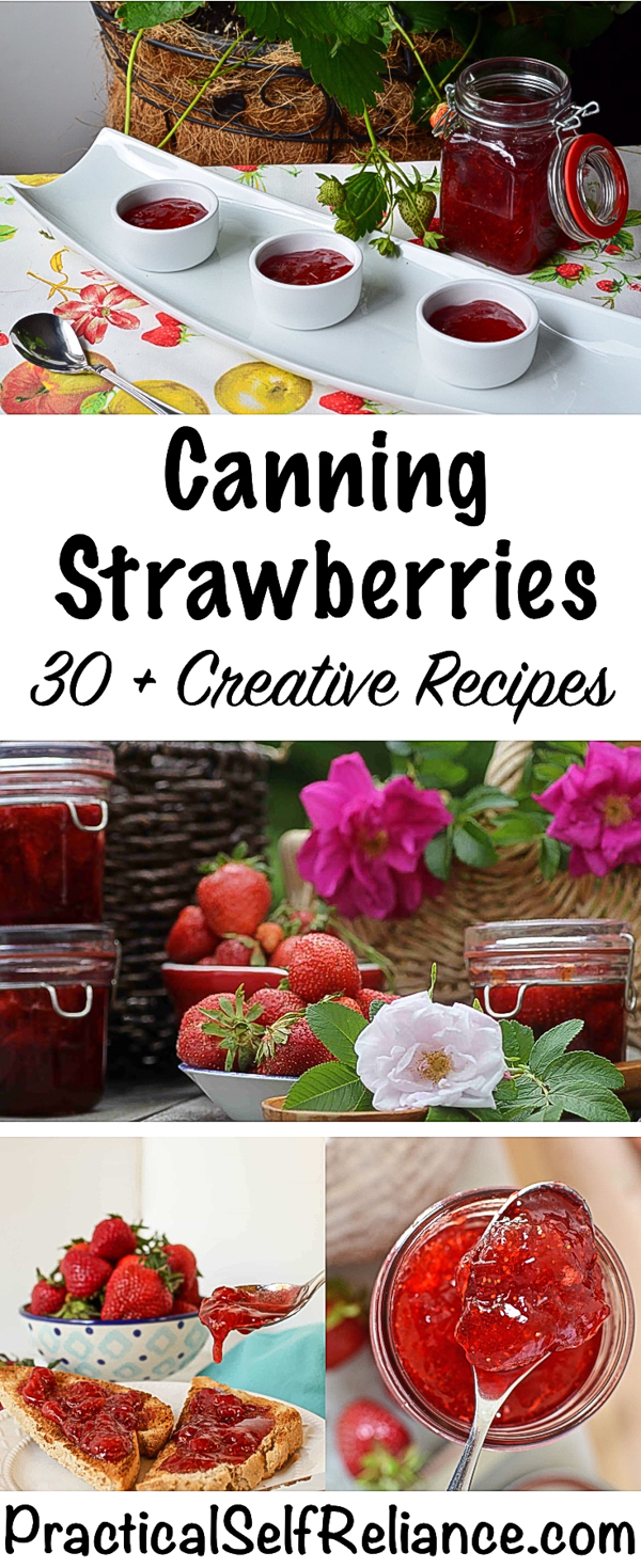 30+ Ways to Can Strawberries - Creative Canning Recipes #strawberies #strawberryrecipes #canning #foodpreservation #preservingfood #homestead #selfreliant #selfsufficiency #homesteading
