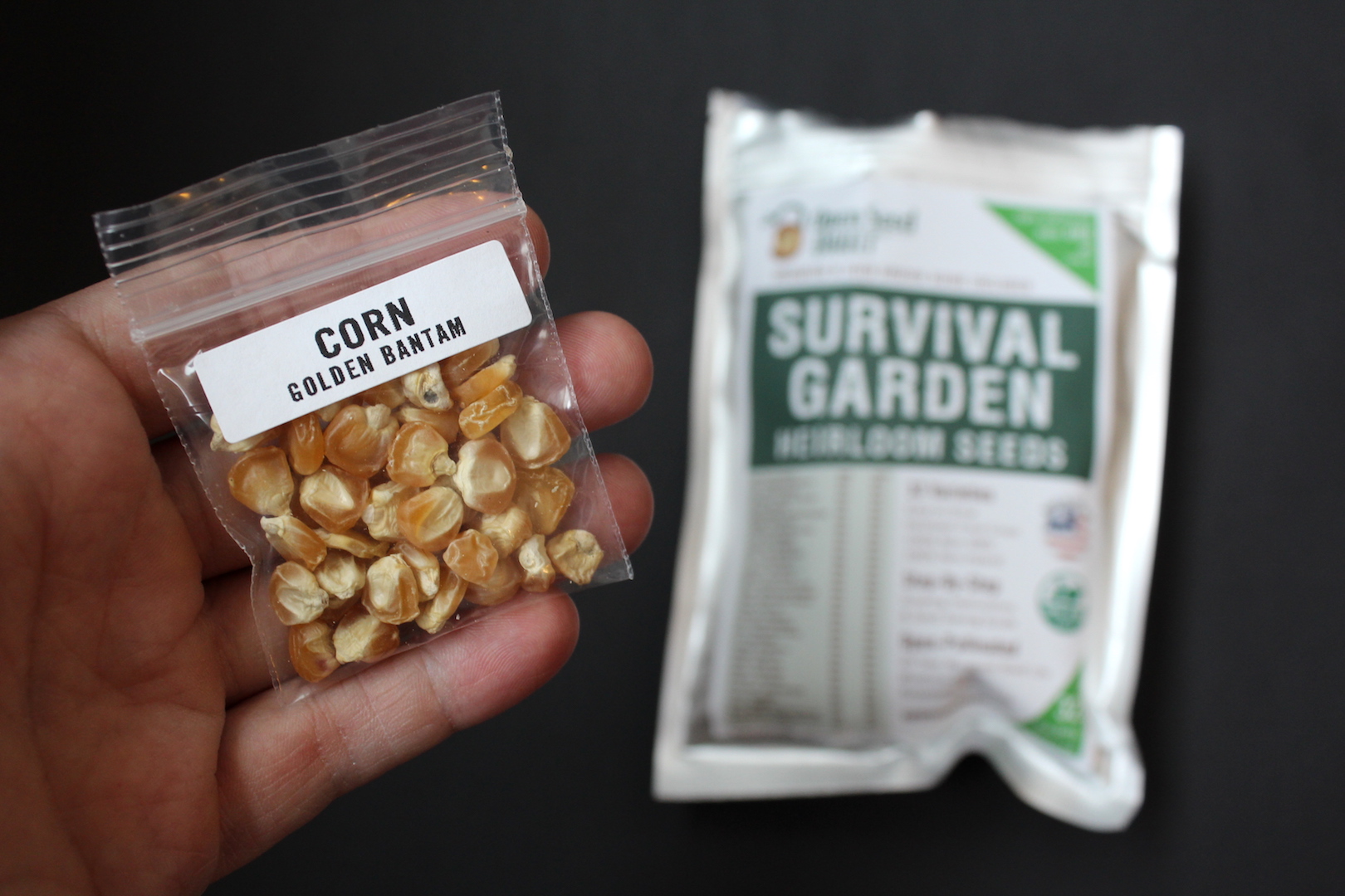 Corn Seeds in Survival Garden